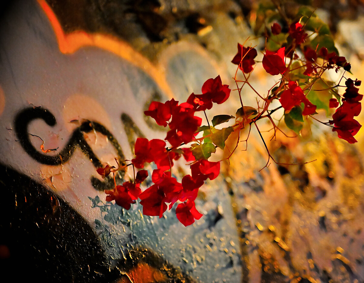citycolors 14