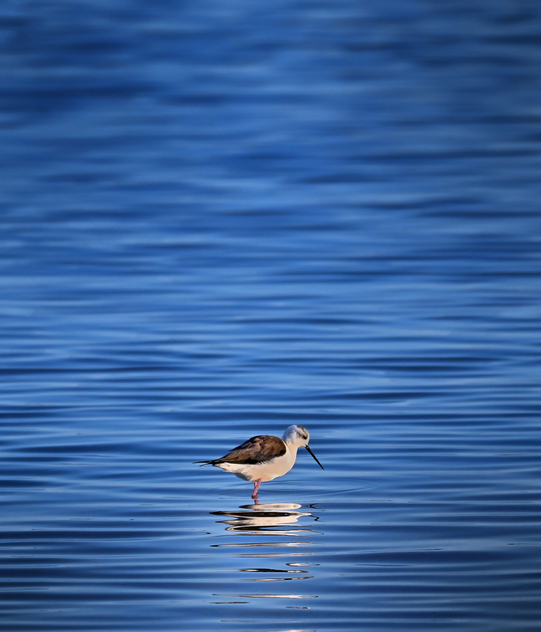 Natura 2