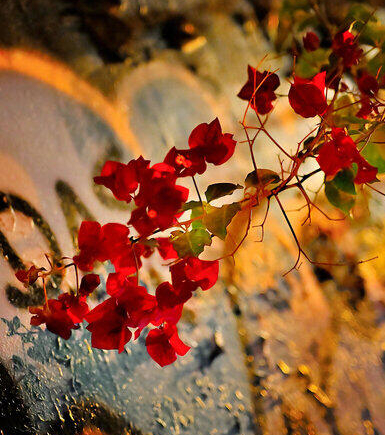 City Colours